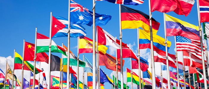 Delivering global programmes - why is it so tough?